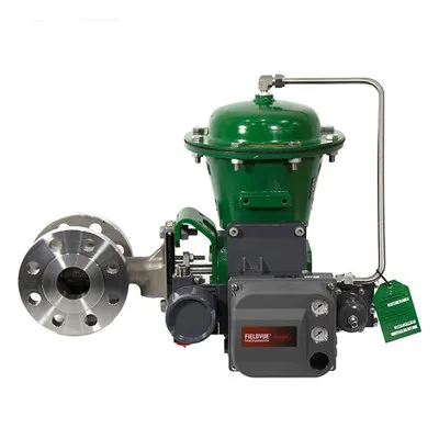 Katup Steker Eksentrik Fisher V500